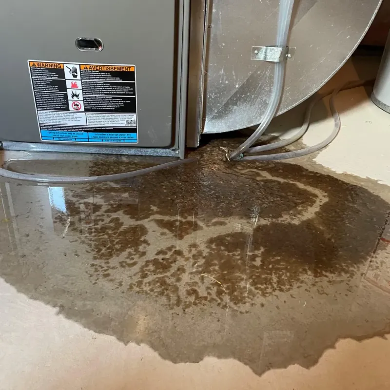 Appliance Leak Cleanup in Harker Heights, TX